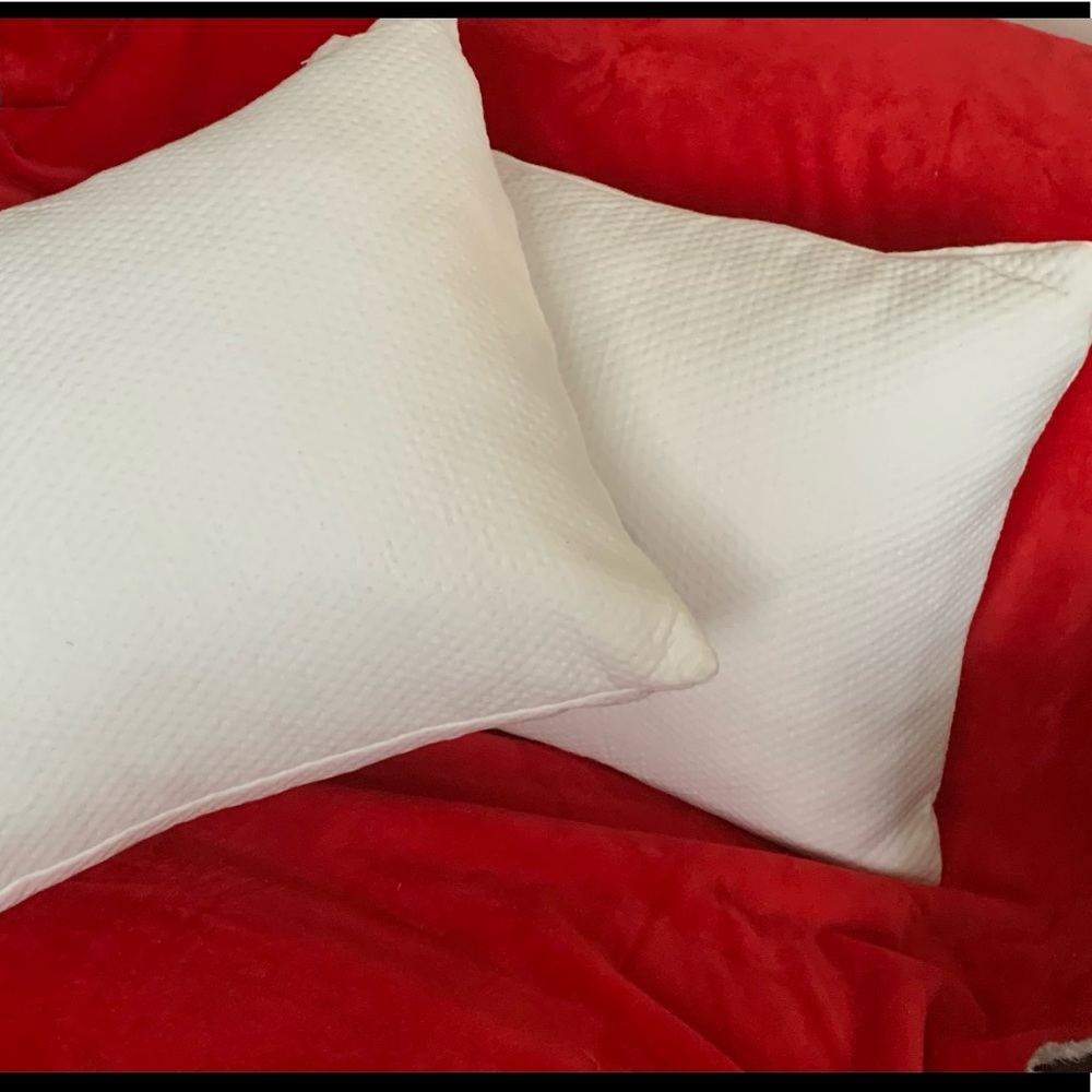 “Standard Fiber” Brand - Set of 2 Brand New Pillows  NWT